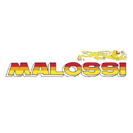 Logo Malossi Modification Motorcycles
