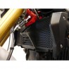 Grille de radiateur Evotech Performance BMW R 1250 RS 2019+ image 2