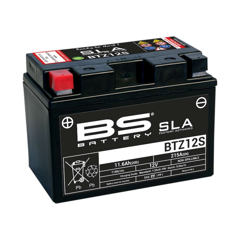 Chargeur De Batterie Intelligent Bs Battery Bk20 6V/12V 3X2A