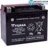 Batterie plomb Yuasa YTX12BS pour Triumph Modern Classics
