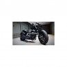 Saute vent Dart Modèle Piranha Harley-Davidson Sportster Xl883 Et 1200 Sauf C