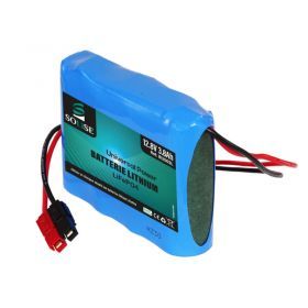 Module de batterie au lithium CCA240 12V 5AH 