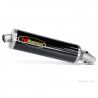 Silencieux Slip-On Akrapovic carbone pour BMW K 1200 R 2005 - 2008 2