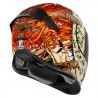 Casque intégral Airframe Pro™ TopShelf ICON image 3