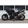 Silencieux Stealth LE Euro 4 AC Schnitzer pour BMW F 800 R 2017+ 2