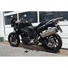 Silencieux Stealth LE Euro 4 AC Schnitzer pour BMW F 800 R 2017+ 3