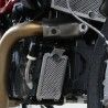 Protection de radiateur d'huile R&G Racing noir Indian FTR 1200