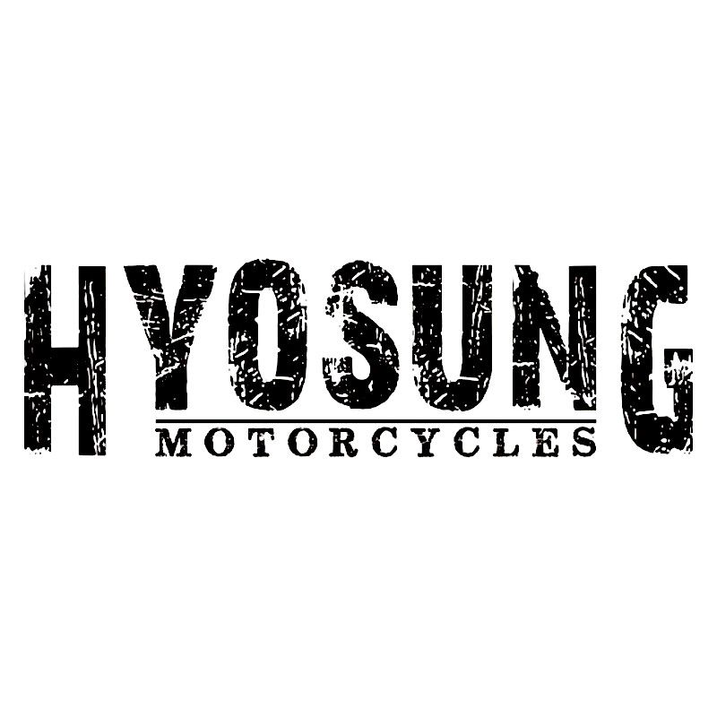 Logo Hyosung