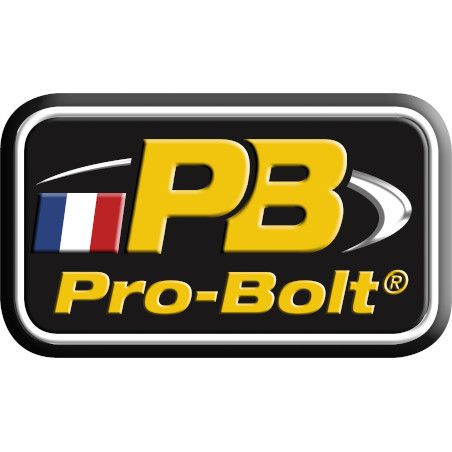 Logo Pro-Bolt Modification Motorcycle
