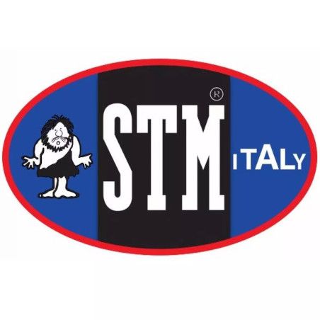 Logo STM Modification Motorcycles