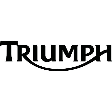 Logo Triumph Modification Motorcycles