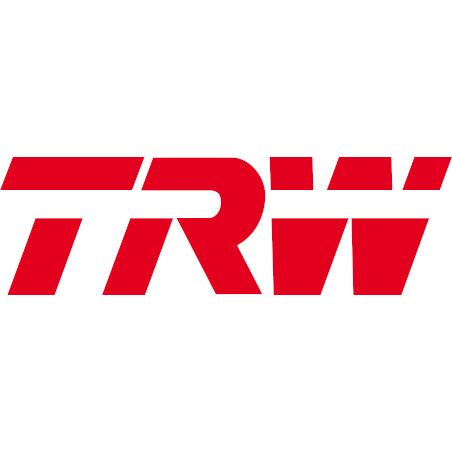 Logo TRW Modification Motorcycles