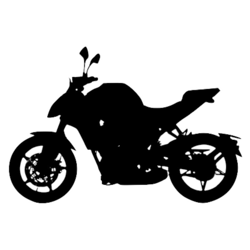 Vignette CF Moto 300 NK