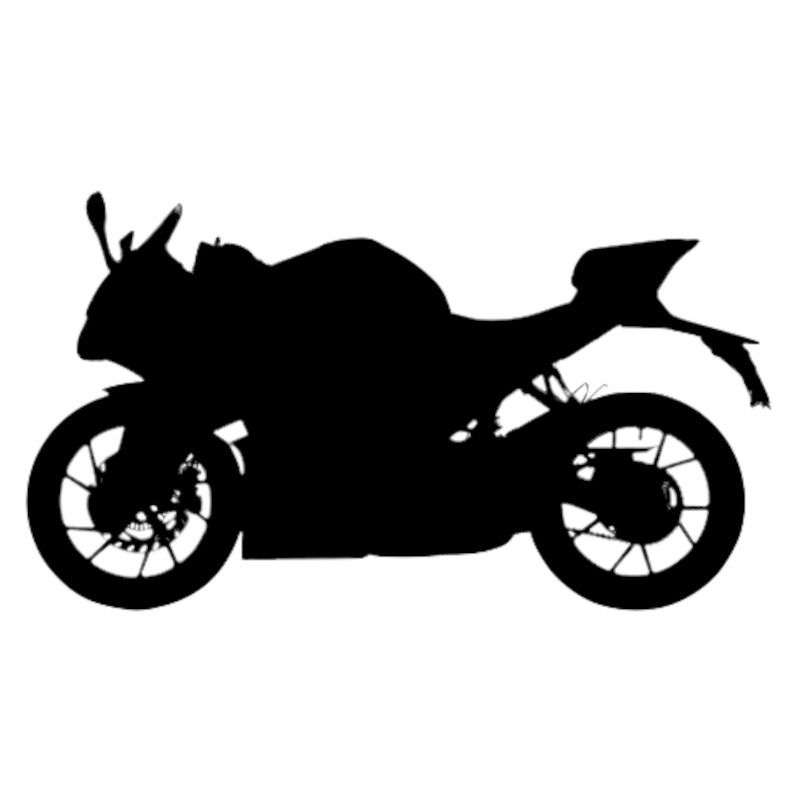 Vignette CF Moto 300 SR