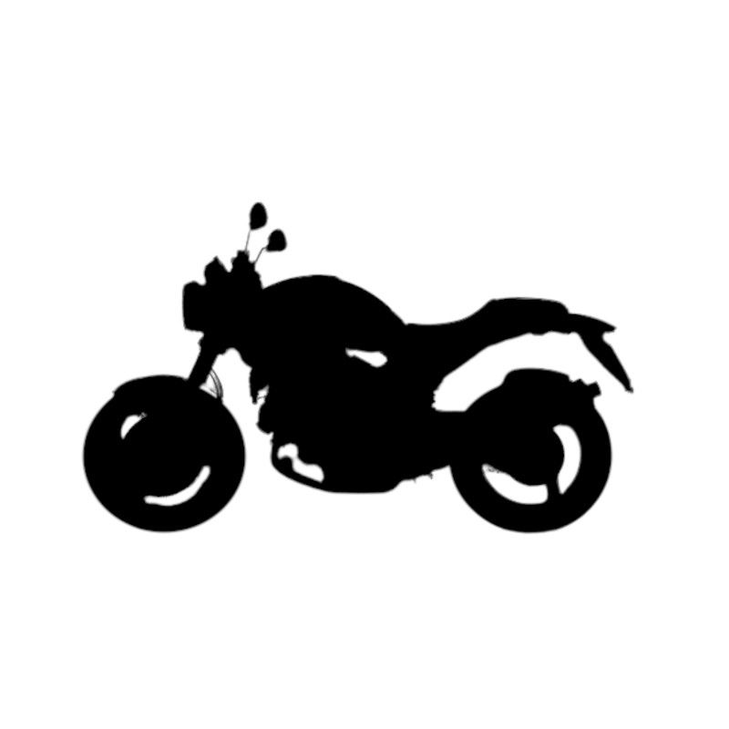 Vignette Ducati 1000 Monster