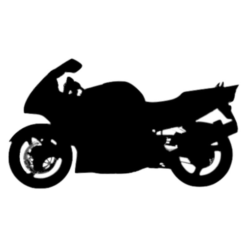 Vignette Honda CBR 1000 XX Super Blackbird